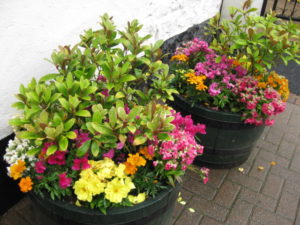 flower-pots